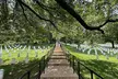 Arlington Cemetery Guided History Tour with Changing of the Guard - Second Medium