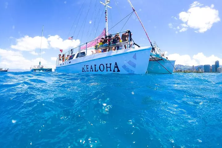 Waikiki: Turtle Canyon Snorkel