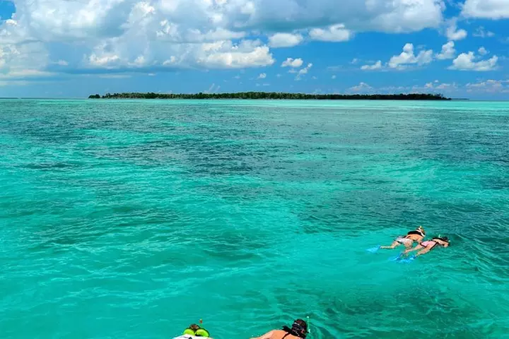 Key West Dolphin Watch and Snorkel Tour - Eco Adventure