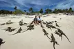 Exuma Island and Cays Tour - Second Medium