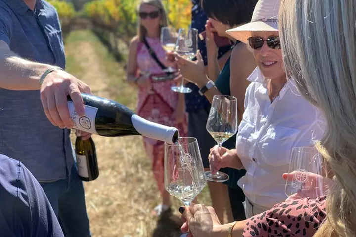 Small-Group Wine Tasting Tour of Santa Barbara Wine Country