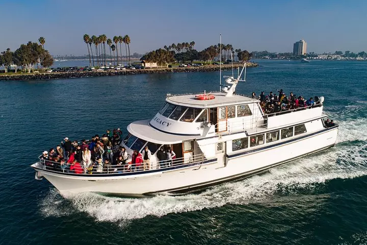 San Diego Whale Watching 3 Hour Tour Mission Bay on the Legacy