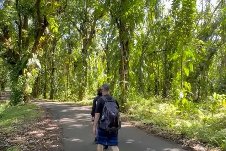 Secret Tide Pool Hike - Jungle & Coast - Private