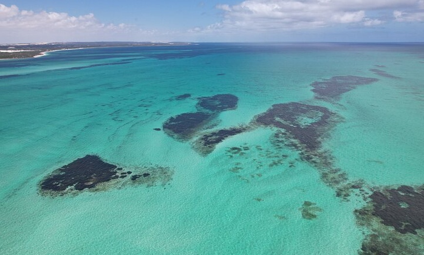 Image 9: Pinnacles+Lancelin Sand Dune Impression Day Tour from Perth