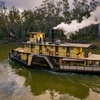Image 3: Murray River Cruise and Wildlife Adventure Private Tour