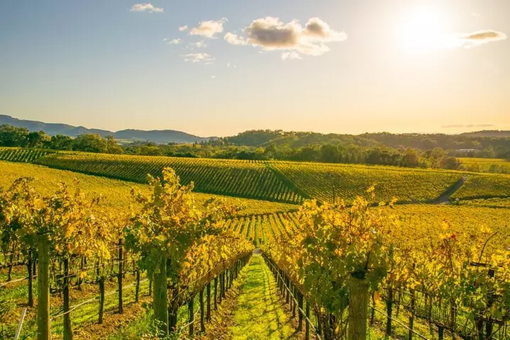 Full-Day Private Napa Valley Wine Tour from San Francisco - Primary Image
