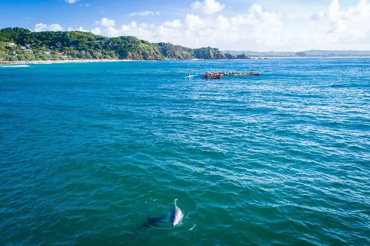 The Byron Bay Sea Kayak Tour