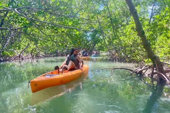 Exclusive Relax & Explore Pedal Kayak Tour Marco Island & Naples