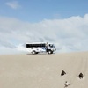 Image 6: Lancelin 4WD & Sandboarding Dunes Adventure - from Lancelin