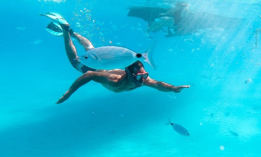 Image 5: Alquiler de barcos de medio día en yate tradicional balear en Ibiza