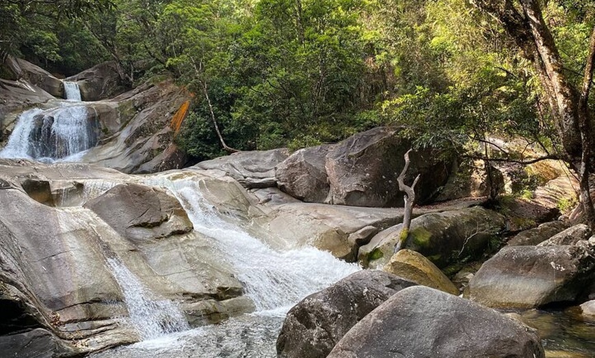 Image 9: Cassowary Coast Goondoi Culture Tour