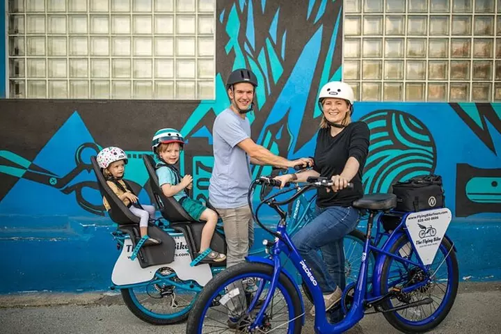 Asheville Historic Downtown Guided Electric Bike Tour with Scenic V...