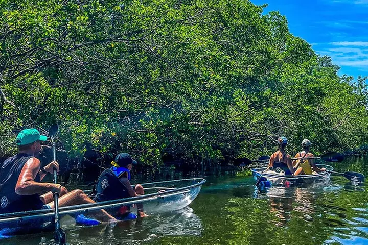Clear Kayak Ecotour at Robinson Preserve in Bradenton, Florida