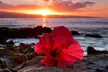 Luxury Airport Transfer in Hawaii - Second Medium