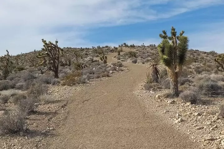 Las Vegas ATV Tours