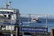 Seattle, WA to Victoria, BC High-Speed Passenger Ferry: ONE-WAY - Second Medium