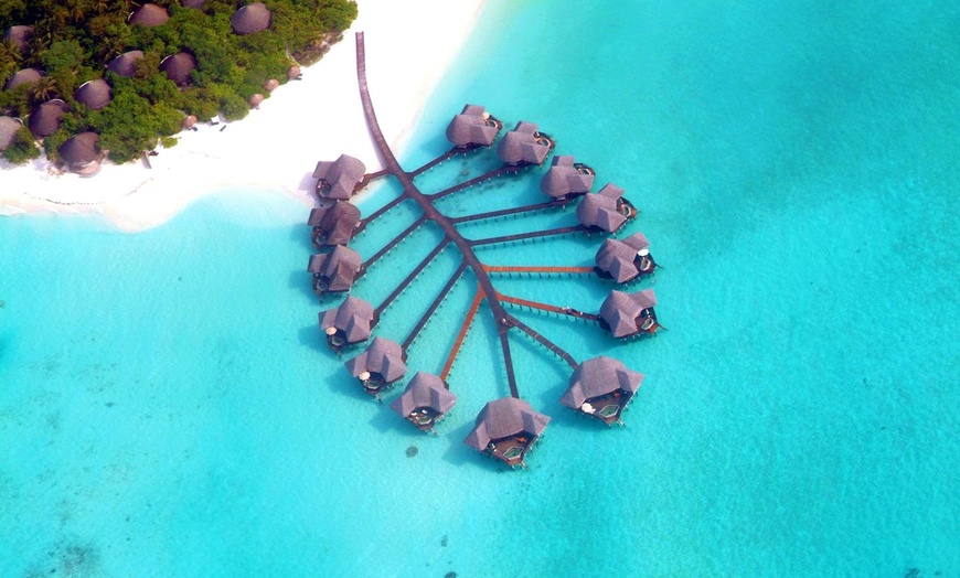 Image 22: ✈ MALDIVES | Dhunikolhu - Coco Palm Dhuni Kolhu 5* - Tout inclus