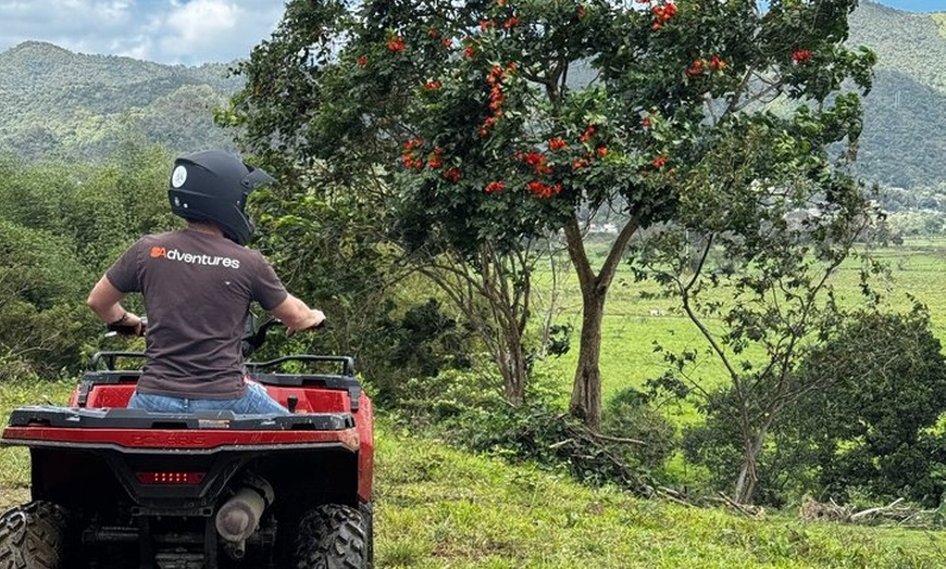 Image 5: Guided ATV Adventure Tour near El Yunque Hacienda 8A