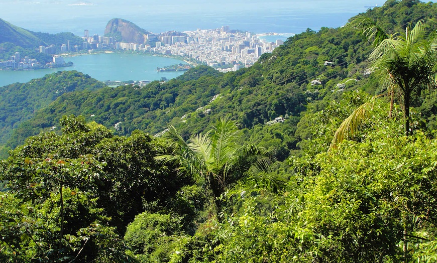 Image 5: ✈ BRÉSIL | De Rio de Janeiro à Sao Paulo - Costa Verde exclusive, l...