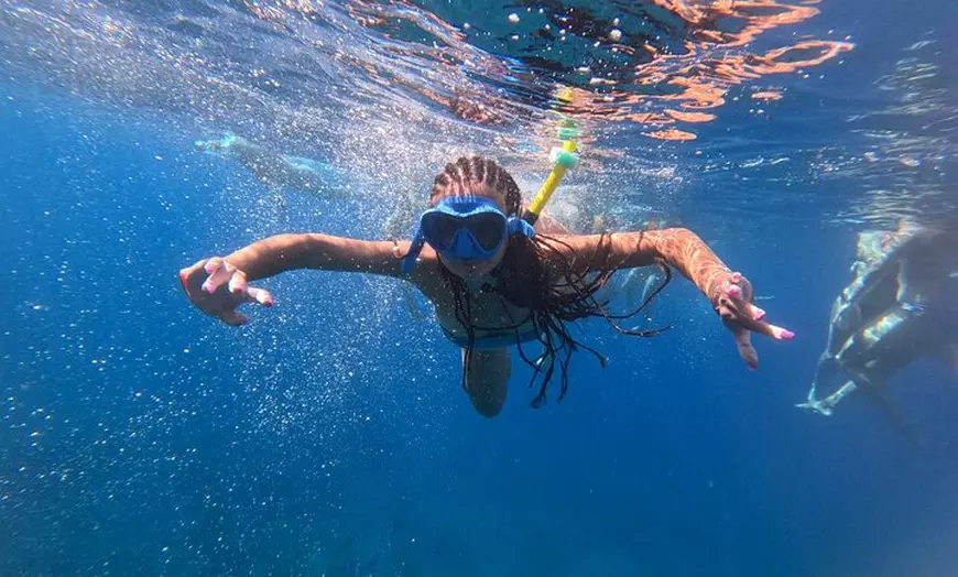 Image 6: Avistamiento de Tortugas y Delfines de Tour de Kayak y Snorkeling