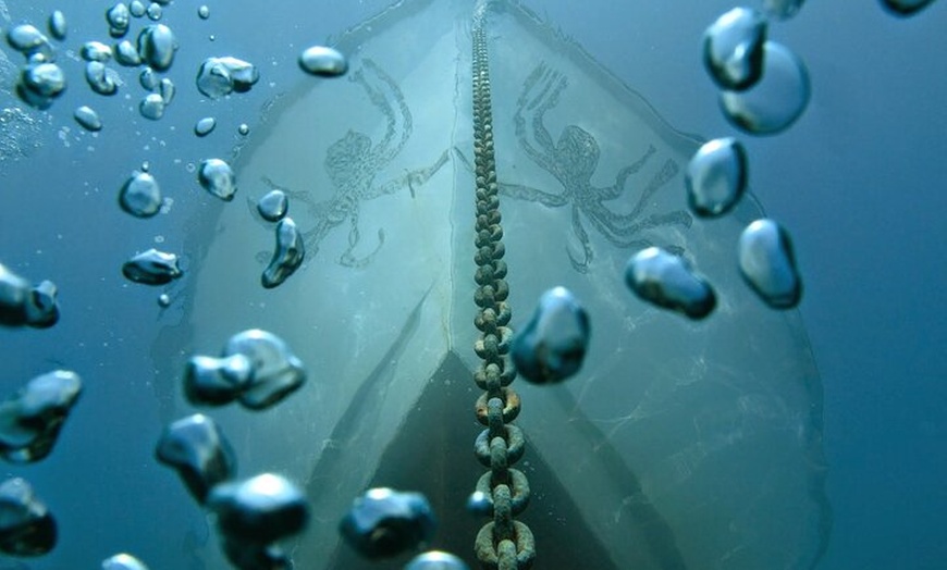 Image 9: Nice VIP promenade en mer avec snorkeling et plongée