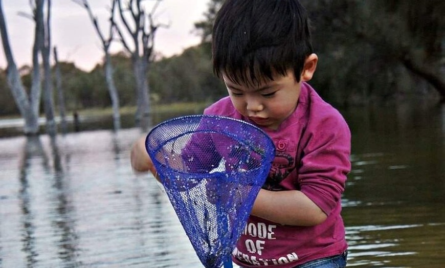 Image 17: Boshack Farm - Animal, Wildlife, Stargazing Nature Aussie culture