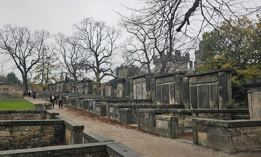 Image 35: Private Day Tour of Edinburgh Gin and Tasting Experience