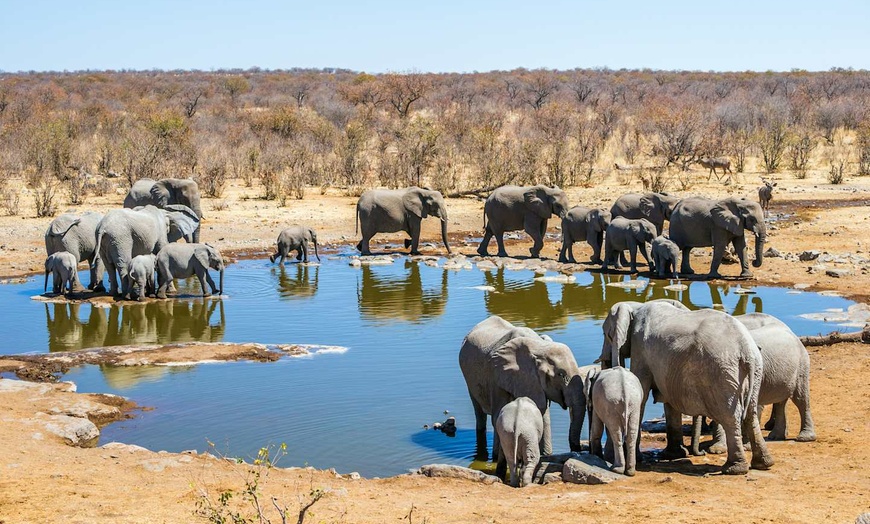 Image 6: ✈ NAMIBIE | Windhoek - Parcours Namibien 3* - Circuit