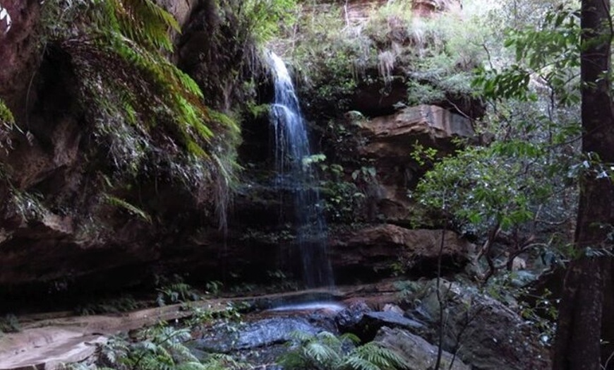 Image 7: Blue Mountains Grand Canyon Private Hike - pick up & drop off