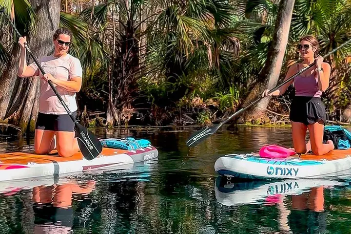 Silver Springs Manatee & Monkeys Paddle Board Tour