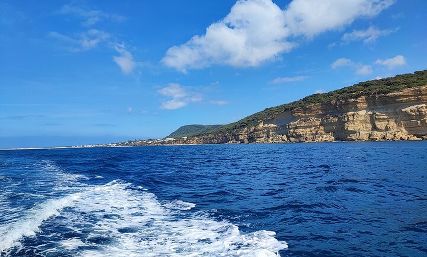 Image 13: Tour Privado en Barco por Trafalgar,Cádiz con Aperitivo y Snorkel