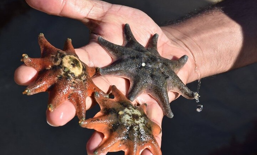 Image 1: Melbourne: Private Wilson Promontory National Park Day Tours