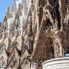 Image 9: Visita guiada Sagrada Familia & Park Güell