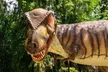 Dinosaur World Glen Rose - Second Medium