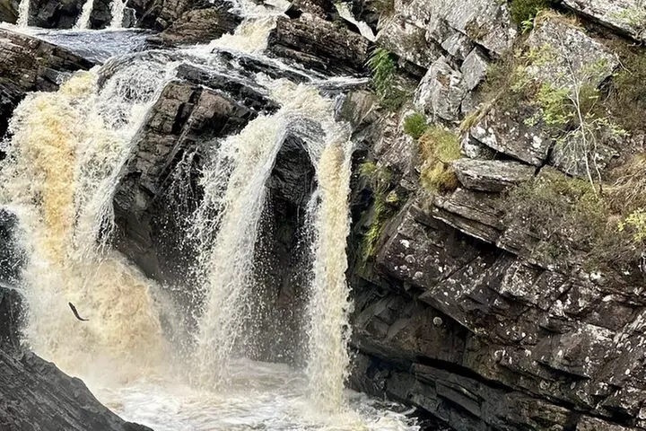 Inverness Forests with Falls and Coast Private Tour - Primary Image