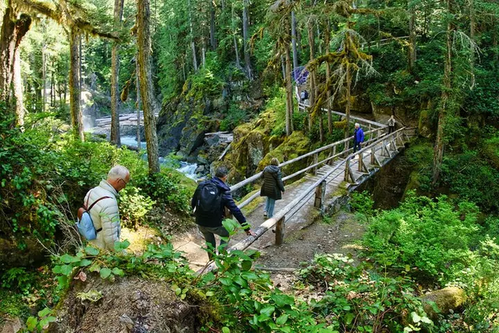 Mt. Rainier Day Tour from Seattle