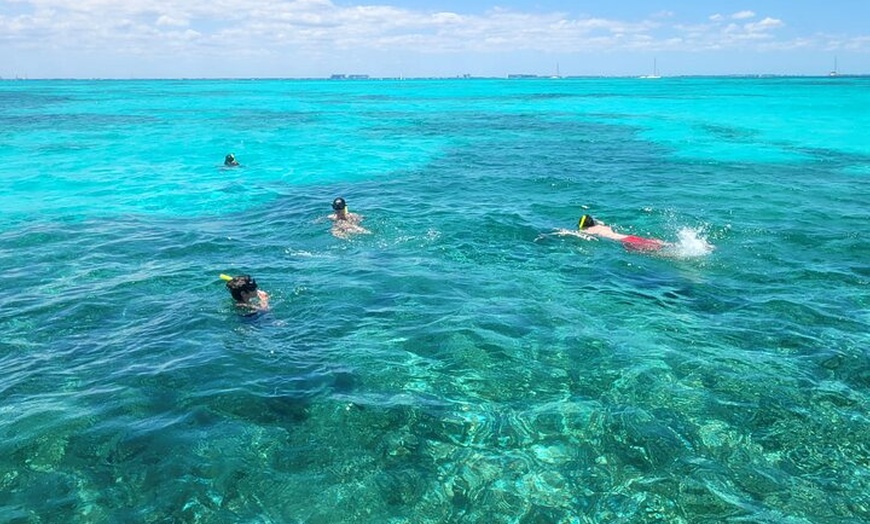 Image 14: Tour Isla Mujeres Premium
