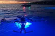 Kona Manta Night Snorkel Adventure: Swim with Majestic Rays - Second Medium