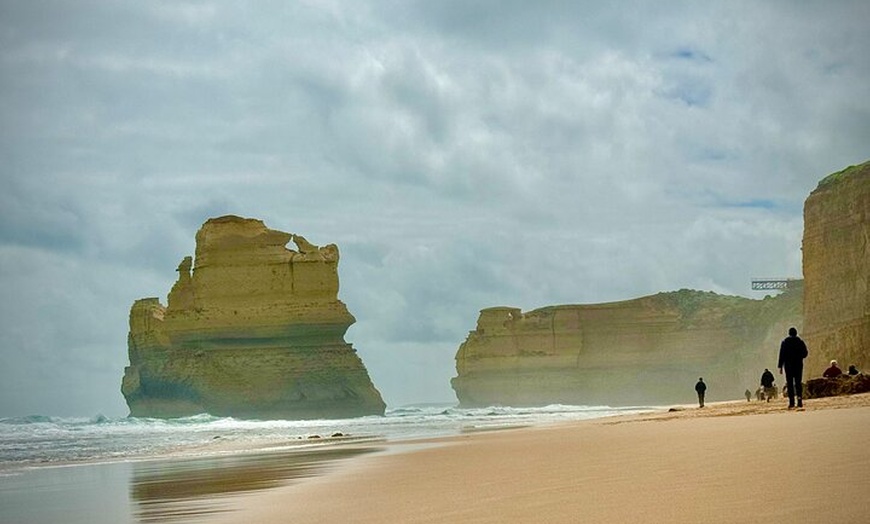 Image 4: Small Group Great Ocean Road Full Day Tour Lunch Included