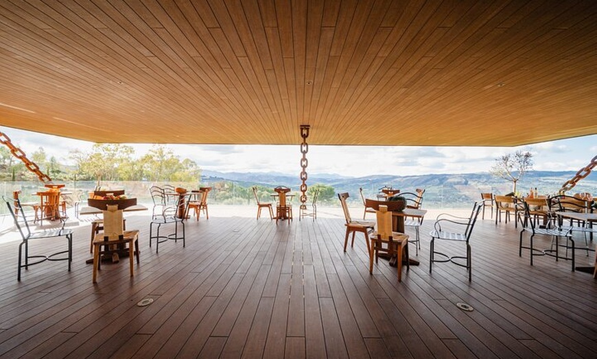 Image 5: LA Almazara Aceite de Oliva y Degustación con Audioguía