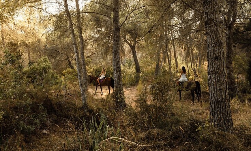 Image 13: Ibiza: Experiencia privada de naturaleza a caballo