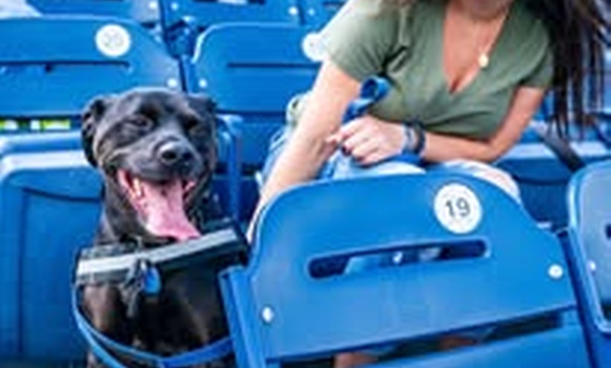 Image 3: $35 For 2 Admission Tickets With 2 Hats (Reg. $70)