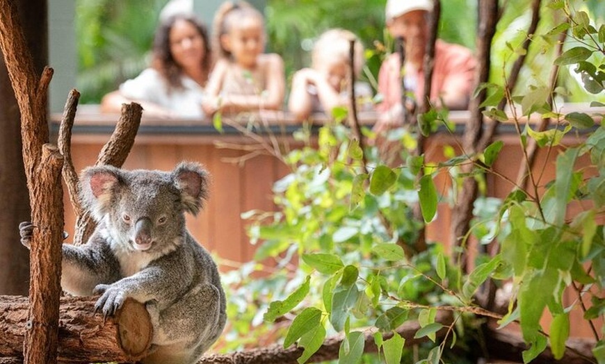 Image 4: Australia Zoo Private Group Tour from Brisbane
