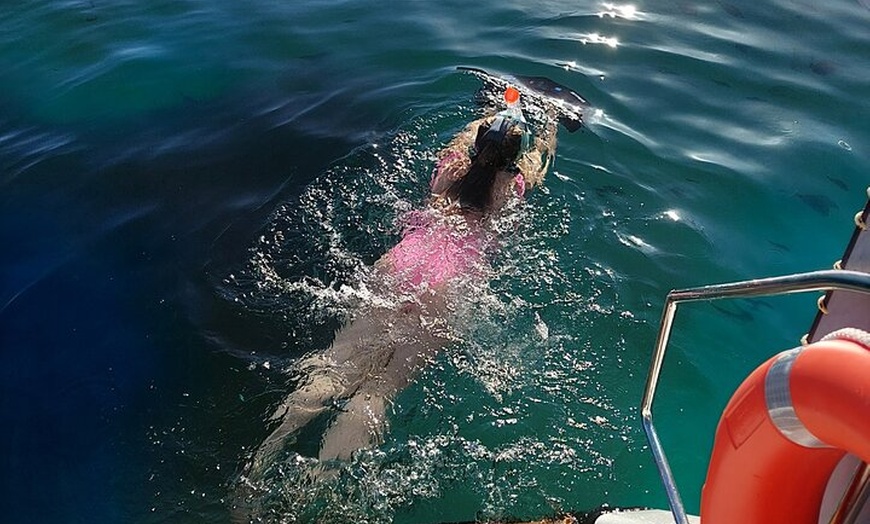 Image 45: Catamarán Mallorca Eco Experience