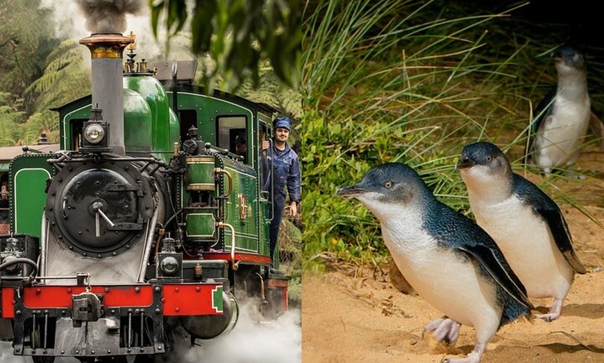 Image 1: Puffing Billy Tour and Penguin Parade from Melbourne