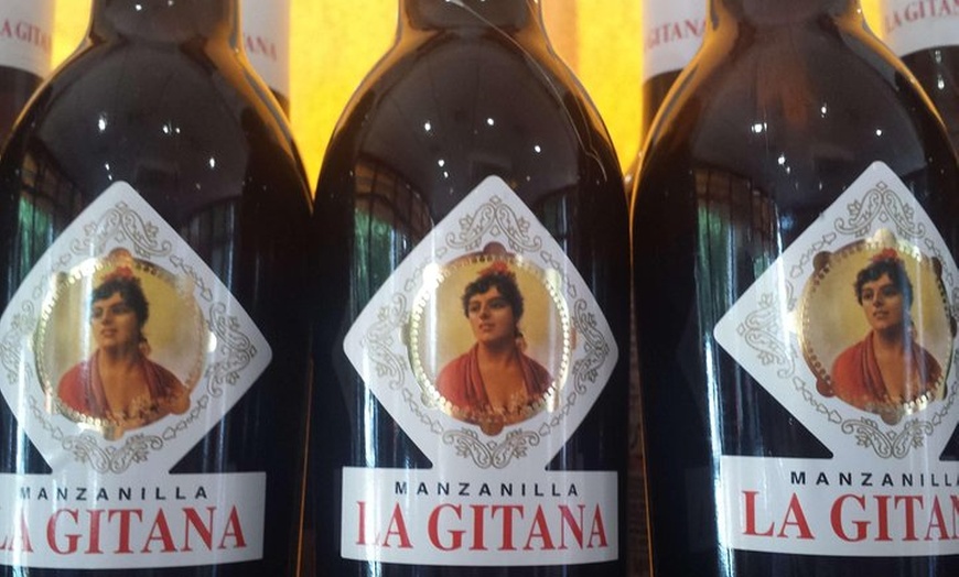 Image 3: Recorrido vinícola a Sanlúcar de Barrameda desde Sevilla con paso a...