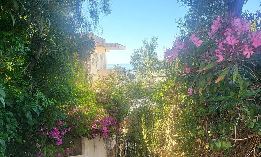 Image 8: Ruta a pie Tour Ibiza Ciudad a Dalt Villa