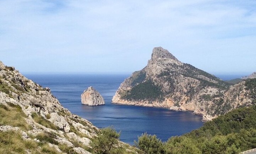Image 10: 8 - Hora Formentor y Mercado de Sineu con paseo en barco Tour en Ma...