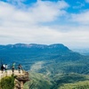 Image 4: Blue Mountains Luxury Tour Experience