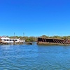 Image 1: 90 Minute Port River Dolphin & Ships Graveyard Cruise